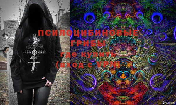 МДПВ Абаза