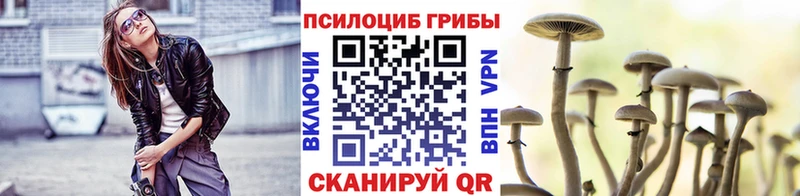 Псилоцибиновые грибы ЛСД  хочу   Абинск 